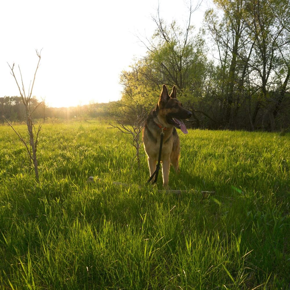 Meet your Posher, Kelsey